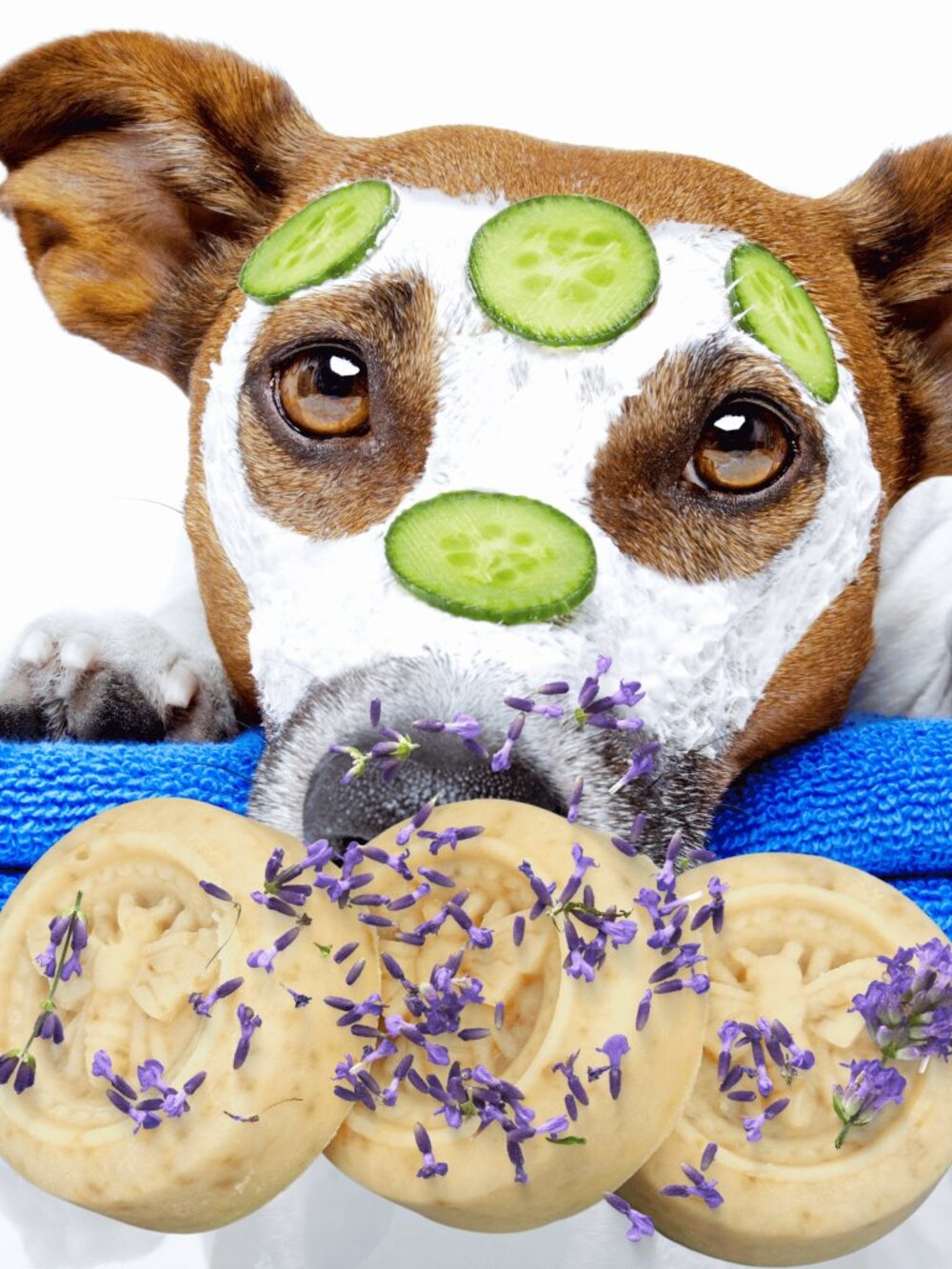 Phat Bath & Body Whole Milk, Oatmeal & Honey Fur Baby Soap - Honeybee Lavender
